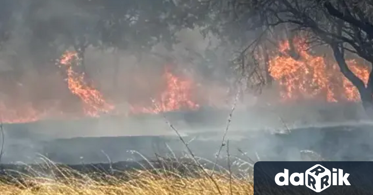 Продължават усилията за потушаване на пожара над село Илинденци в