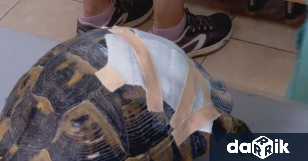 Студенти влизат в най тежко засегнатите райони в различни части на