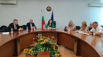 Кметът на Пловдив поиска спиране на изгарянето на умъртвени заразени животни в общината