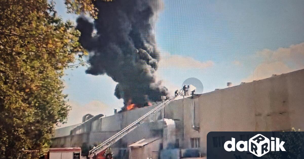 Покрив с фотоволтаици на производствен цех във фабрика Е Миролио