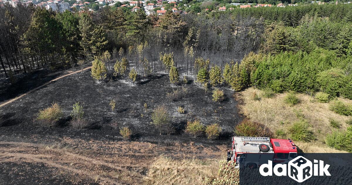 Пожарът в Сливница е локализиран скоро ще бъде напълно изгасен