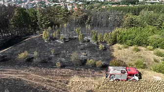 Пожарът в Сливница е локализиран, скоро ще бъде напълно изгасен