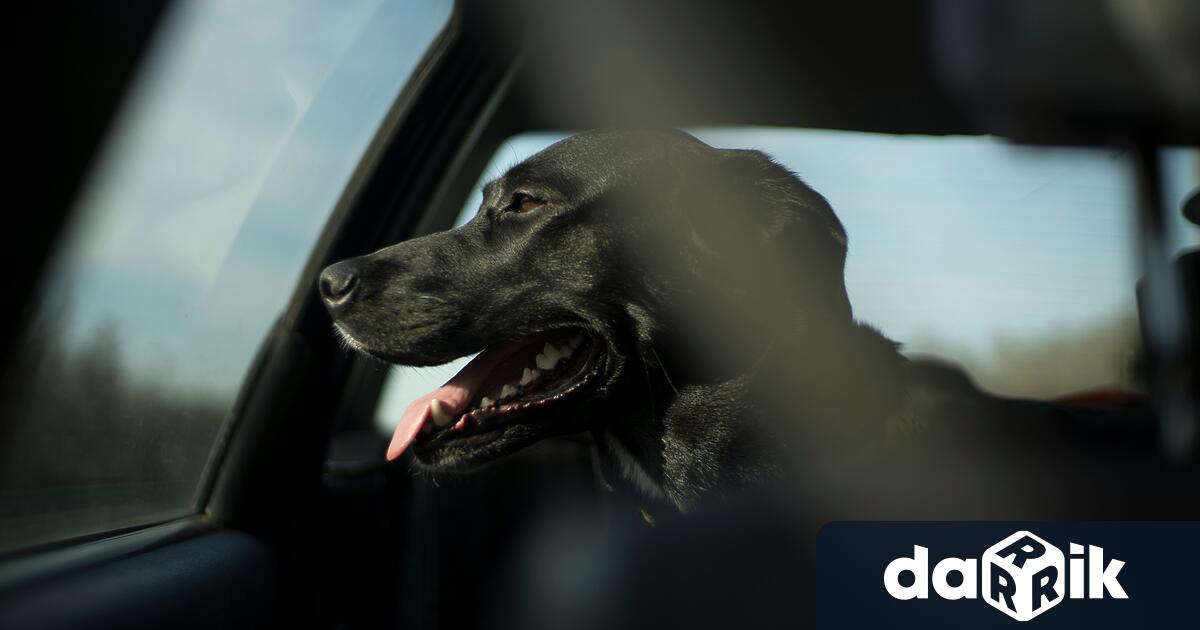 60 годишна българка беше задържана и санкционирана в Гърция след като