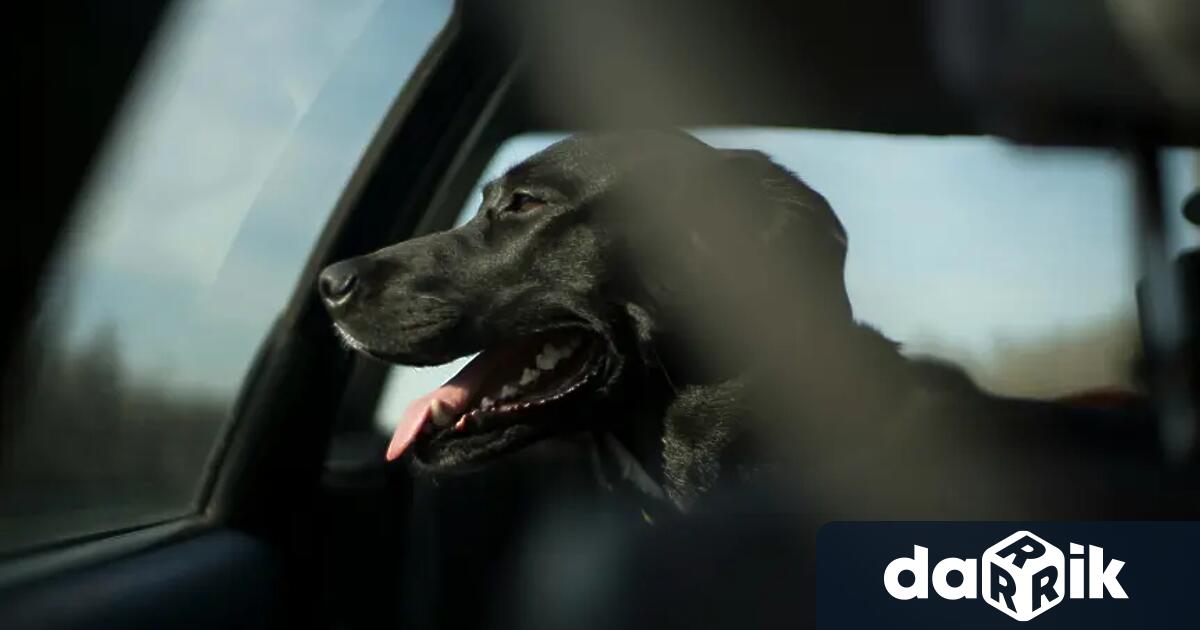 С различни инициативи в София ще бъде отбелязан Международният ден