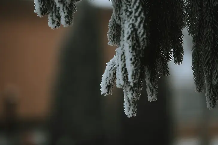 Сняг заваля в Румъния