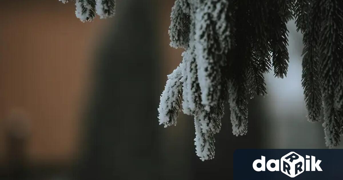 Лятото още не е свършило но в Румъния прехвръкнаха първите