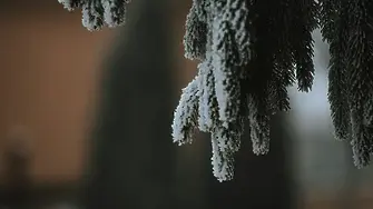 Сняг заваля в Румъния