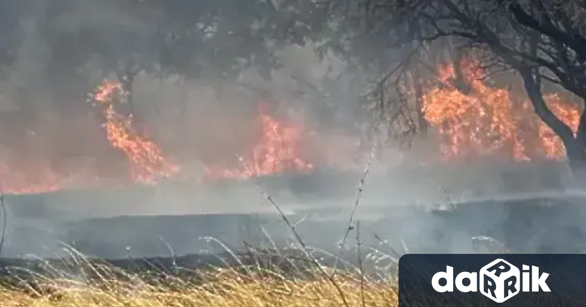 Голям пожар гори в местността Св Георги в град Сливен
