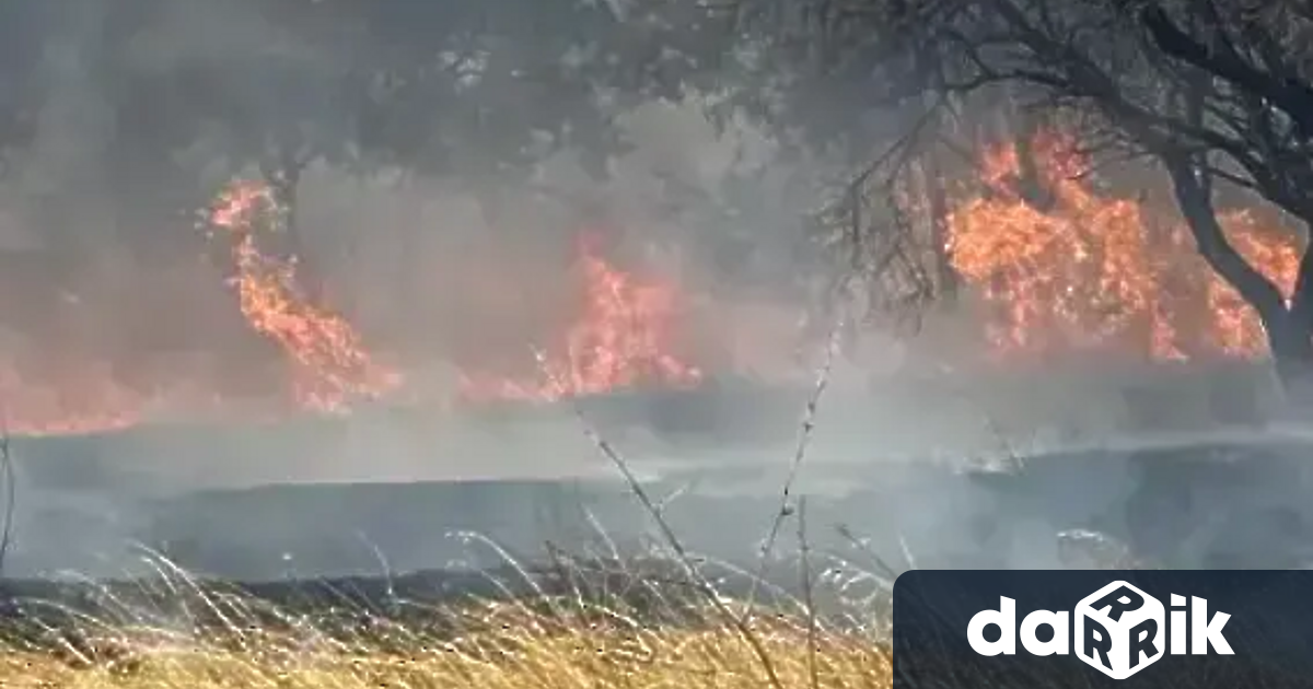 Пожарът в местността Св Георги в град Сливен вече е локализиран