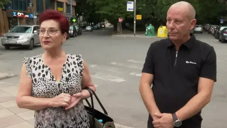 Уволниха директора на ОП „Паркове и градини“ заради дървото-убиец в Пловдив