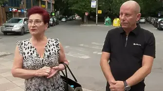 Уволниха директора на ОП „Паркове и градини“ заради дървото-убиец в Пловдив