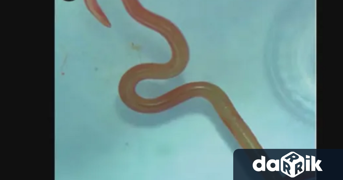 Властите в САЩ съобщават че е потвърден първият случай на