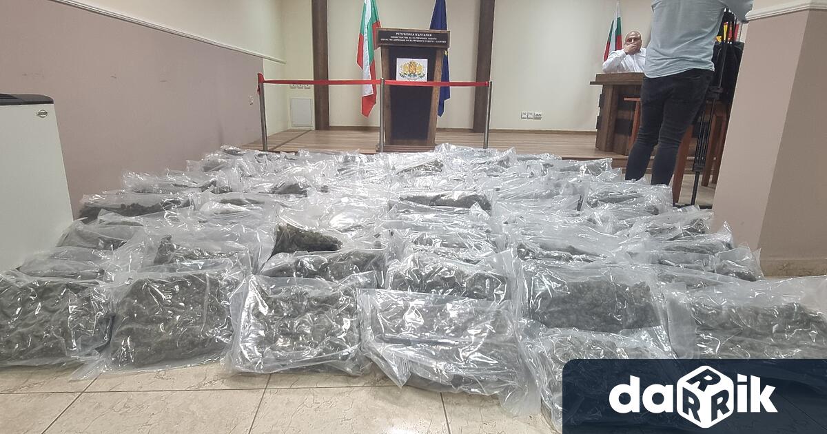 Рекордно количество незаконно пренасяна марихуана за над 3 1 млн лв
