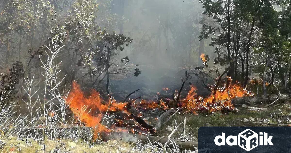 Разраства се пожарът на територията на Национален парк Рила Пламъците сана