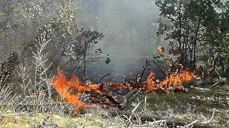 Пожар край Якоруда, вятър затруднява гасенето