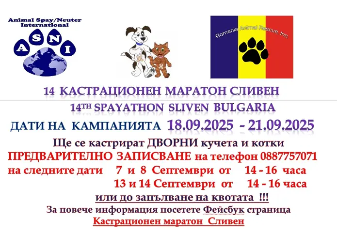 Започва XIV кастрационен маратон на дворни кучета и котки