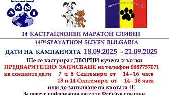 Започва XIV кастрационен маратон на дворни кучета и котки