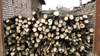 Засякоха незаконна дървесина в две села на видинско