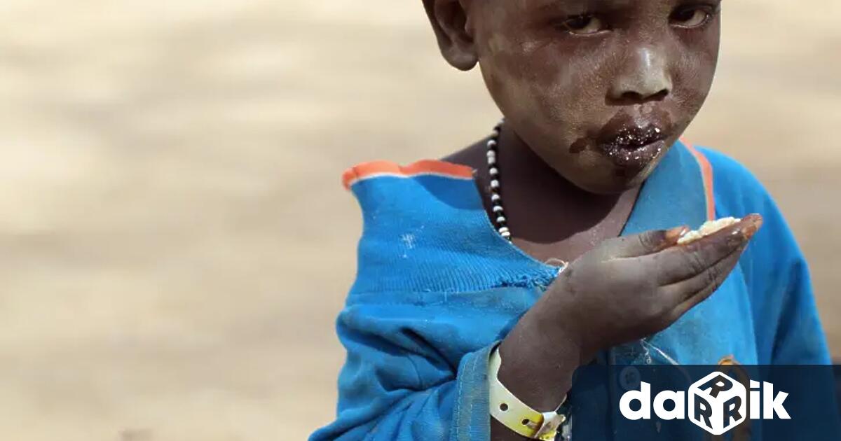 Половин милион души в Газа изпитват глад като се очаква