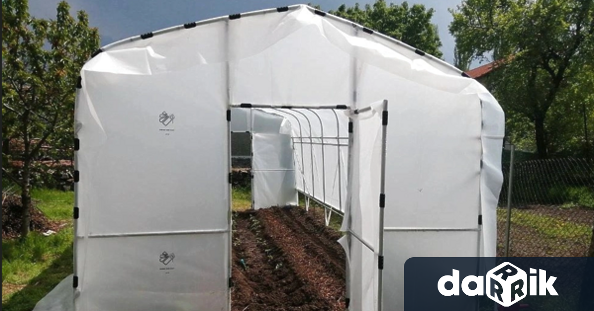 Представете си вложили сте време и усилия в градината си