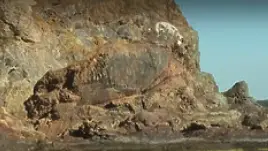 Откраднаха скулптурата на тюлена-монах край Маслен нос