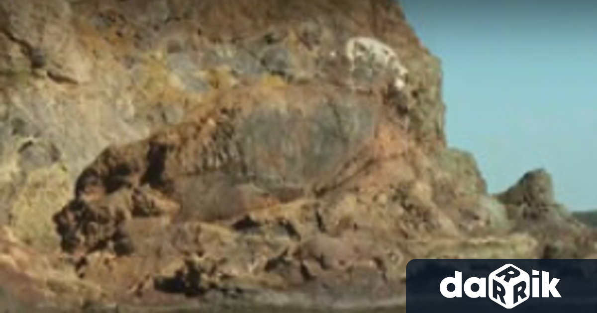 Неизвестни с джетове задигнаха емблематичната скулптура на тюлена монах в