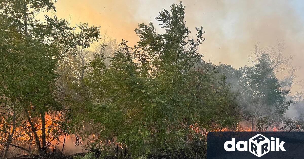 Близо 8 000 декара обхвана вече пожарът в Сакар край