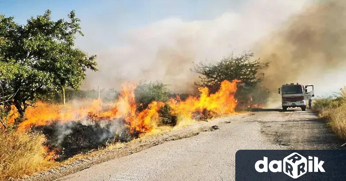 За пожар в Сакар между селата Младиново Лисово и Костур