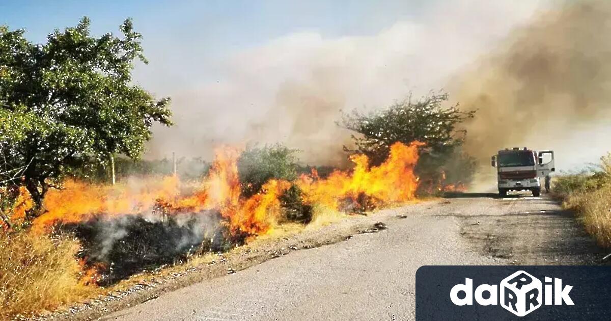 Пожар гори на територията на Сакар между селата Младиново Лисово