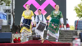 Във Видин започна шестото издание на МФФ „Синия Дунав“