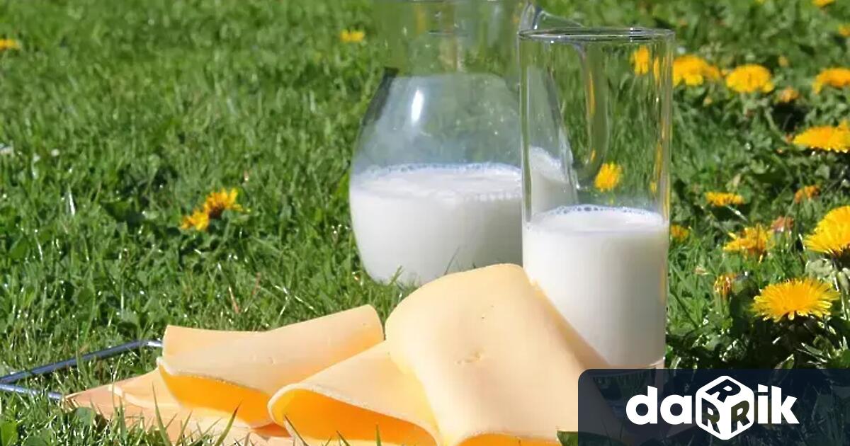 Президентът на КНСБ Пламен Димитров съзря картелно споразумение в ценообразуването