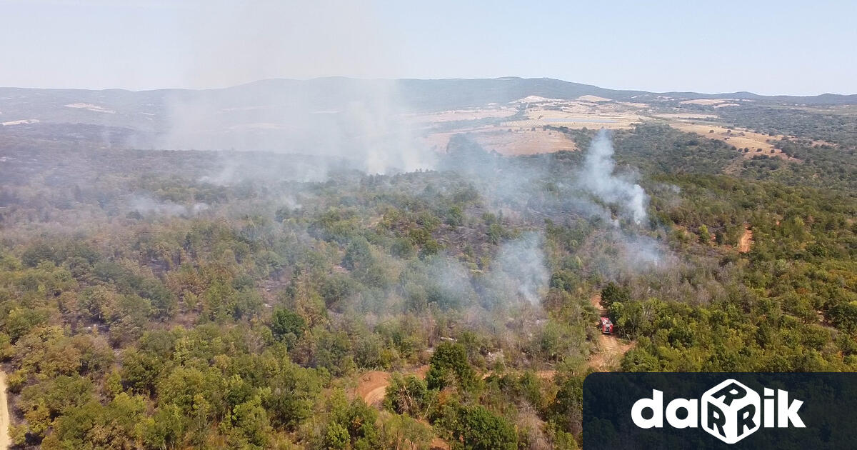 Пожарът който горя близо 48 часа на територията на Сакар