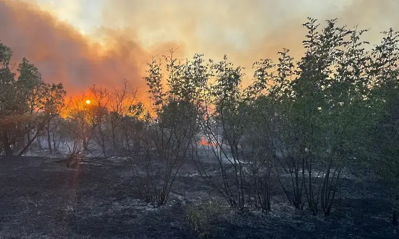 Отново голям пожар в Свиленградско