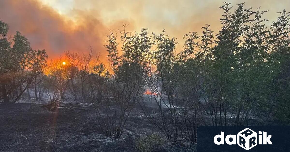 Нов голям пожар гори в Свиленградско и вече е обхванал