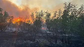 Отново голям пожар в Свиленградско