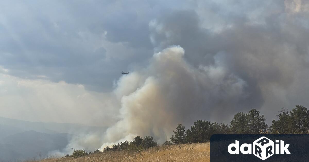 Локализиран е пожар възникнал в района на Кресненското дефиле съобщи