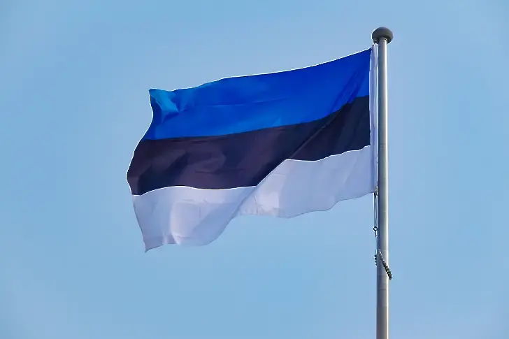 Естония ще изгради противотанков ров на границата с Русия