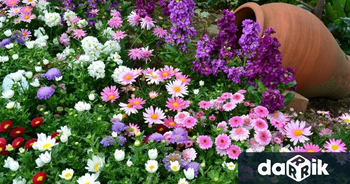 Община Враца е обявила обществена поръчка на стойност 333 333 333