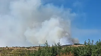  Голям пожар над село Ракита се разраства към Перник