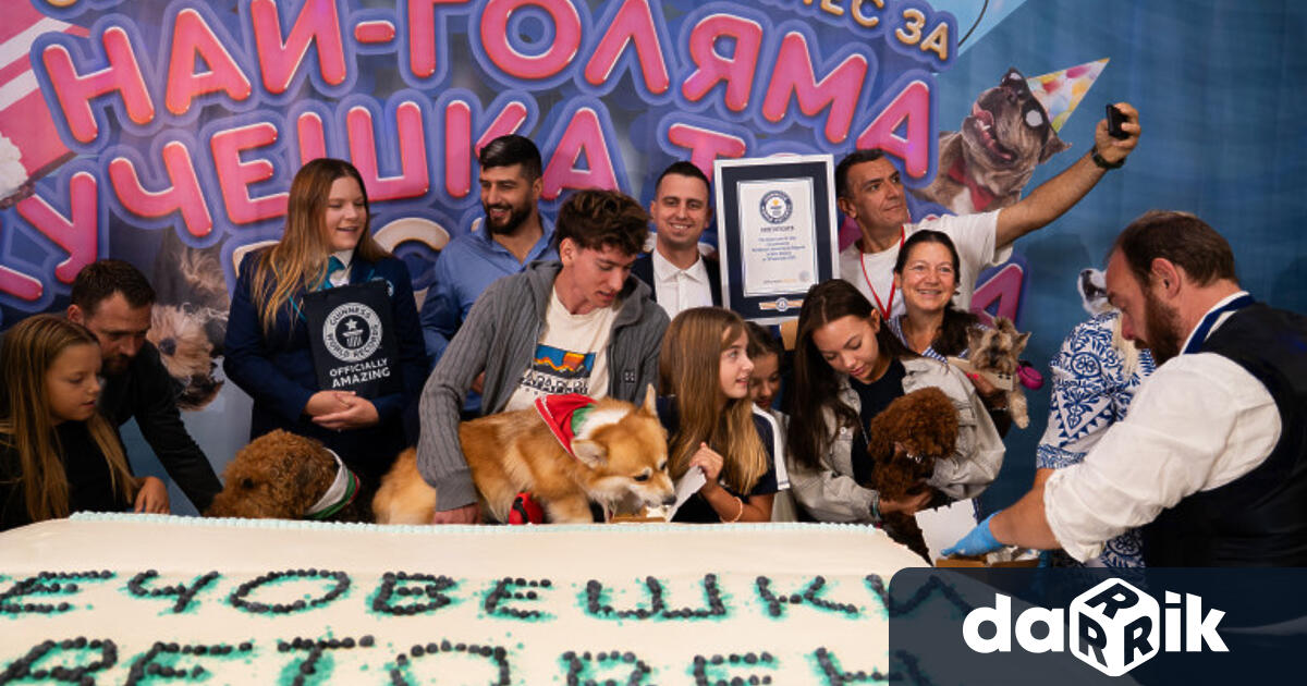 Тортата е направена от вкусни и здравословни продукти Блатовете са