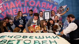 Рекорд за Гинес - в София направиха най-голямата торта за кучета