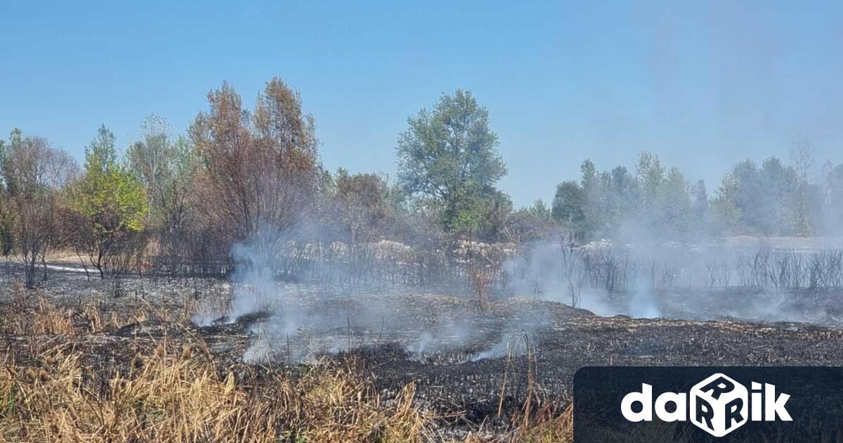 Във връзка с изразената от Община Плевен готовност да предприеме