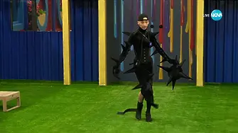 КОМЕНТАР: Ето къде е дъното – стартът на Big Brother 2025 провокира буря