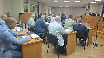 С промени в общинската Наредба № 2 собствениците на поземлени имоти в община Плевен се задължават да поддържат чистотата в тях