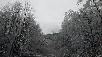 Сняг заваля на прохода „Петрохан“