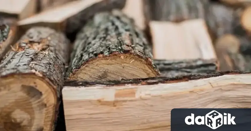 9 кубика незаконни дърва намериха горските стражари в с. Арчар