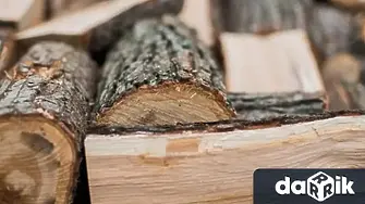 9 кубика незаконни дърва намериха горските стражари в с. Арчар