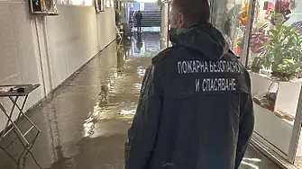 Поройният дъжд блокира Пловдив: наводнени булеварди, десетки сигнали за паднали дървета и затворени участъци