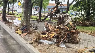 Обявиха неучебен ден заради проливния дъжд в Царево
