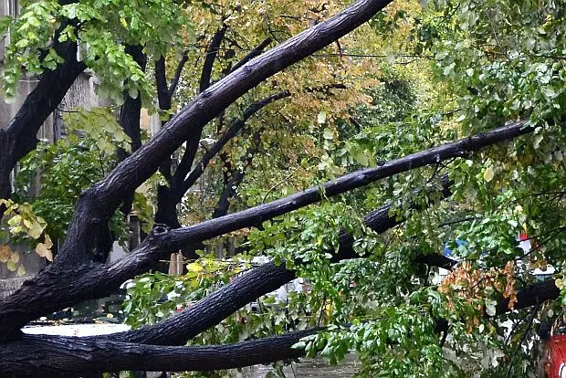 Поради силния дъжд мобилизираха екипи на пожарната след множество сигнали